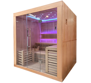 Sauna Utopia 4
