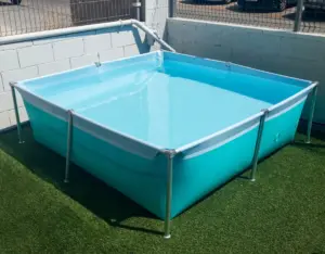 Piscina infantil desmontable IASO Nemo · IASO