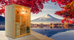 Sauna Vapor Sense 4