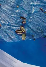 Cubierta de verano Gre para piscinas redondas · Gre